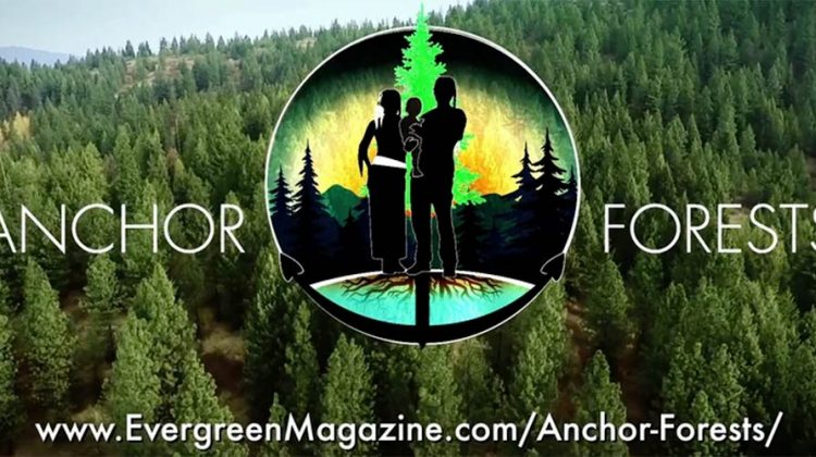 Anchor Forests
